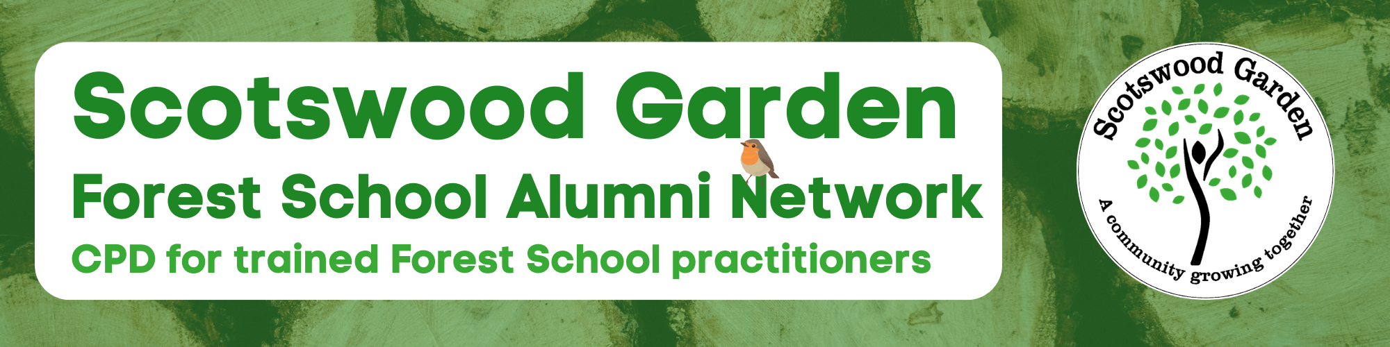 Banner Forest School Alumni Network 2160 x 1080 px 20 x 8 cm 20 x 5 cm