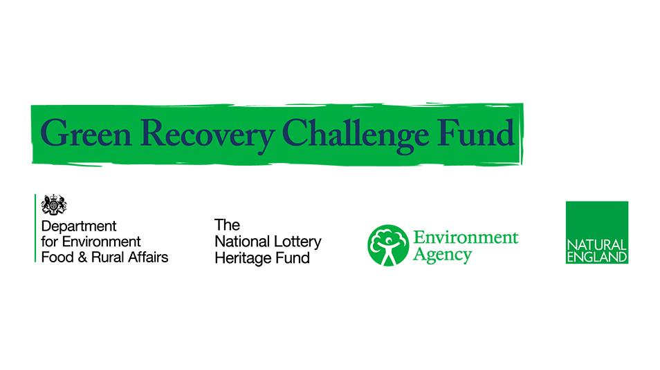 Green recovery challenge