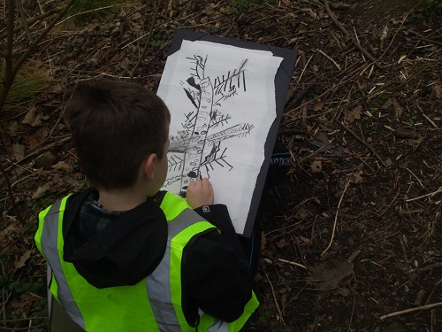 forest school drawing small