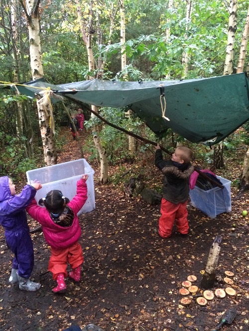 forest school problem solving small