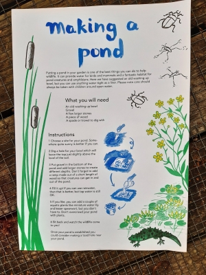 Making a pond