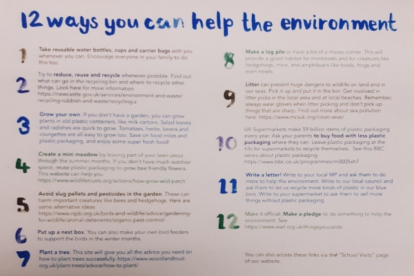 12 ways you can help the environment
